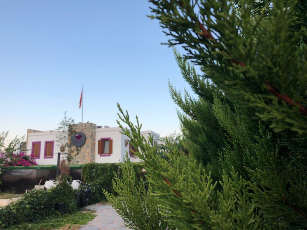 Pepecura Bodrum Luaran gambar