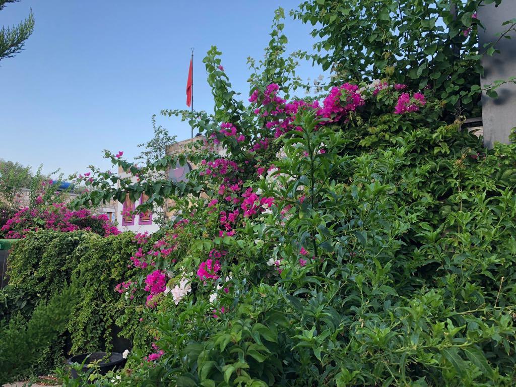 Pepecura Bodrum Luaran gambar